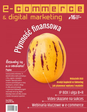 E-commerce & Digital Marketing Wydanie 16/2020 - Płynność finansowa